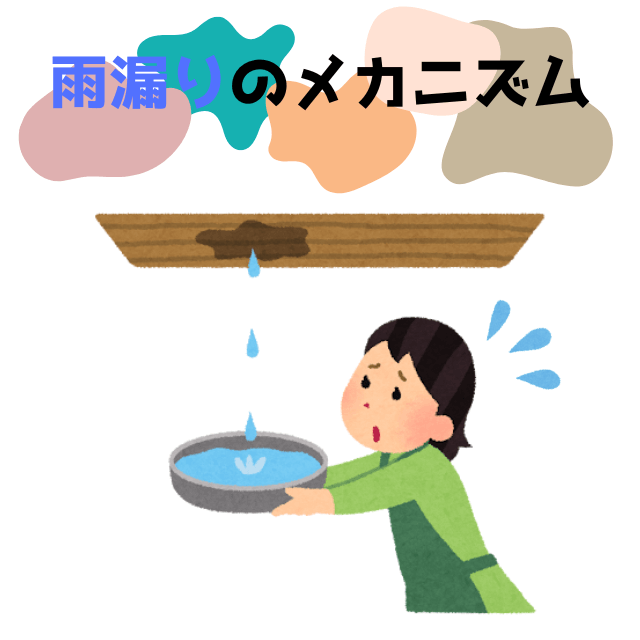 雨漏り コラム
