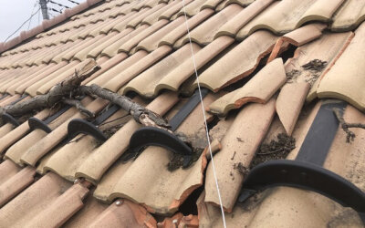 五霞町の板金屋は廃盤瓦でも諦めません！ガルバリウム鋼板による屋根修理事例