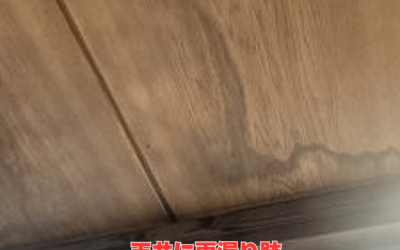【古河市 五霞町 境町】天井雨漏り即解決!築25年でも安心のガルテクト屋根修理