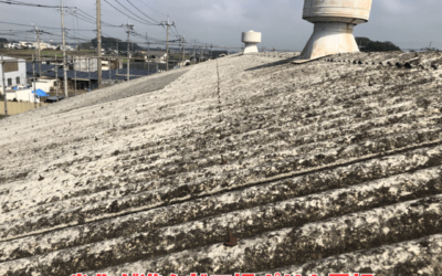 【古河市 五霞町 境町】倉庫ポリカ屋根をガルバリウム鋼板でカバー!耐久性と美観を兼ね備えた外装リフォーム事例