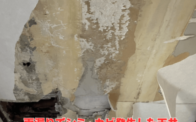 【古河市 五霞町 境町】雨漏り修復!天井張替えとクロス交換で新築のような美しさを