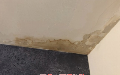 【五霞町・境町】雨漏りの放置がもたらすリスク