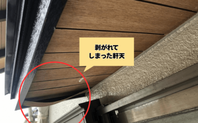 【五霞町・境町】和風住宅で軒天ベニヤをガルバリウム鋼板でカバーして長持ちさせる方法