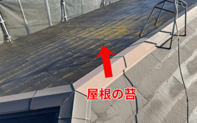 【古河市　五霞町　境町】屋根の苔を放置してはいけない理由！劣化した屋根はカバー工事で再生