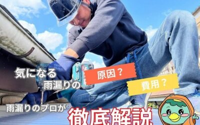 【古河市　五霞町　境町】雨漏り修理の相談内容ランキング　費用相場と原因特定
