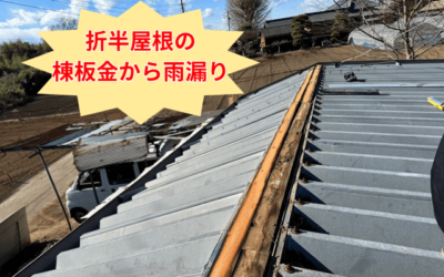 【古河市 五霞町 境町】築25年の折板屋根の雨漏り!棟板金交換工事で完全解決