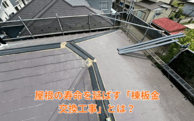 【古河市　五霞町　境町】雨漏りの悩み解消！棟板金交換で屋根のメンテナンスサイクルを延長