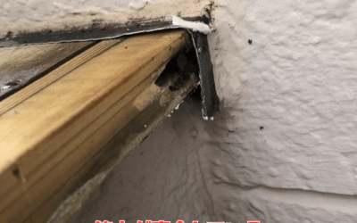 【古河市 五霞町 境町】ベランダ雨漏り修理|笠木(かさぎ)の劣化が引き起こす深刻な被害と修繕の全貌