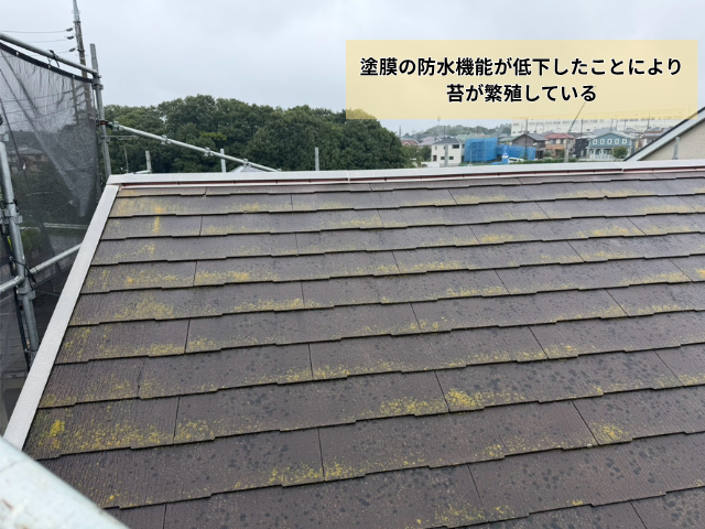 久喜市の住宅 苔が付いたスレート屋根の面