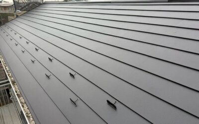 【古河市の方へ】屋根の色あせ・苔にはガルテクトで屋根カバー工事|久喜市の事例