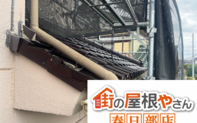 【境町の方へ】雨樋にカビが出たら雨樋交換も選択肢｜春日部市の事例