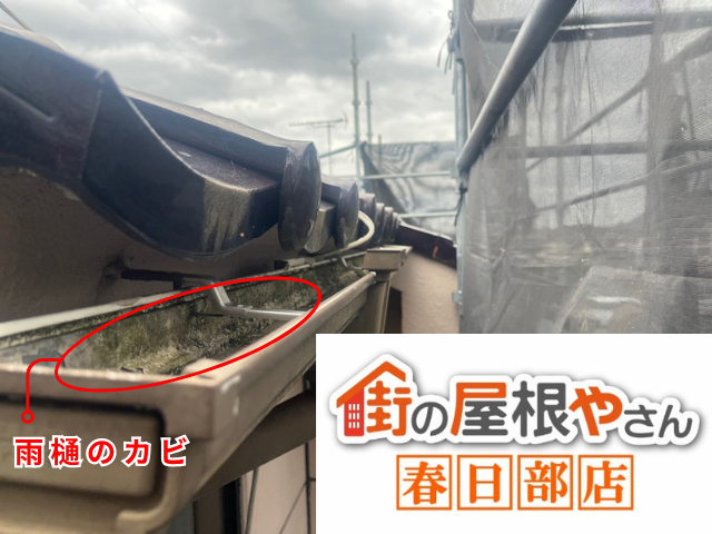 春日部市の住宅 雨樋の内側に出たカビ
