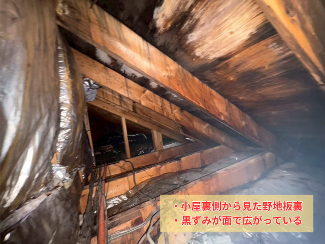 春日部市の住宅 小屋裏から見た野地板裏の黒ずみ