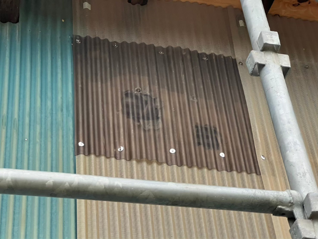 春日部市の住宅 波板を張り替えた後の物置の屋根