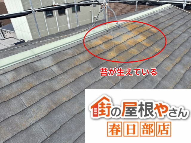 杉戸町の住宅 屋根材の表面に苔が生えている部分
